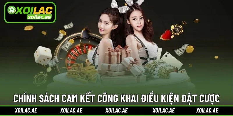 Chính sách cam kết công khai điều kiện đặt cược