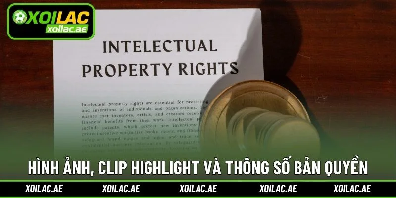 Hình ảnh, clip highlight và thông số bản quyền